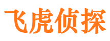 丽江市调查公司